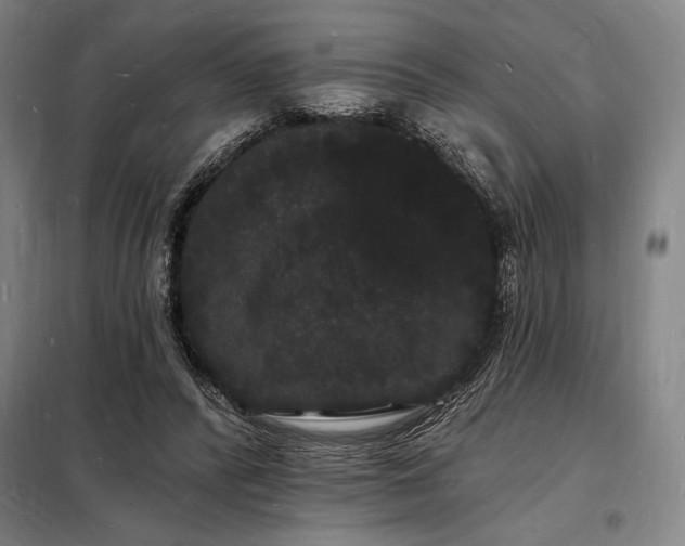 X0000098230400200805011303