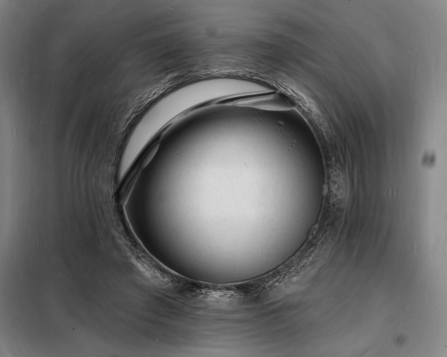 X0000098230401200805011303