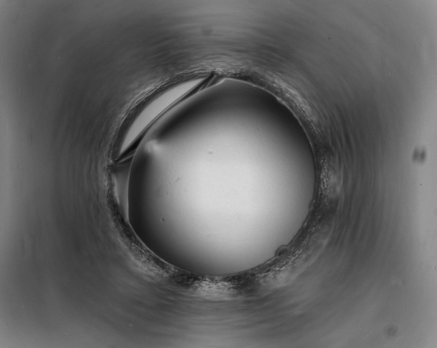 X0000098230403200805011303