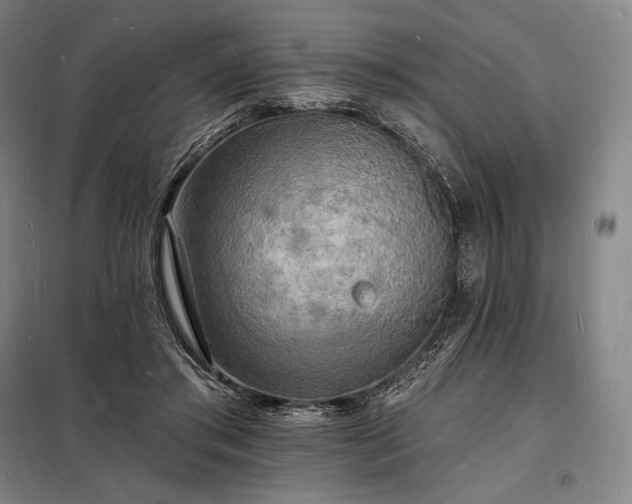 X0000098230405200805011303