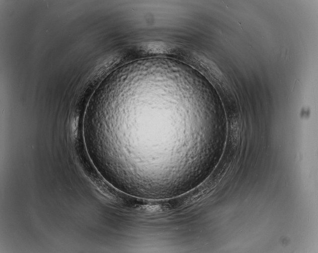 X0000098230406200805011303