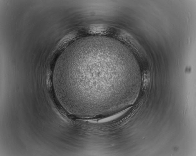 X0000098230408200805011302