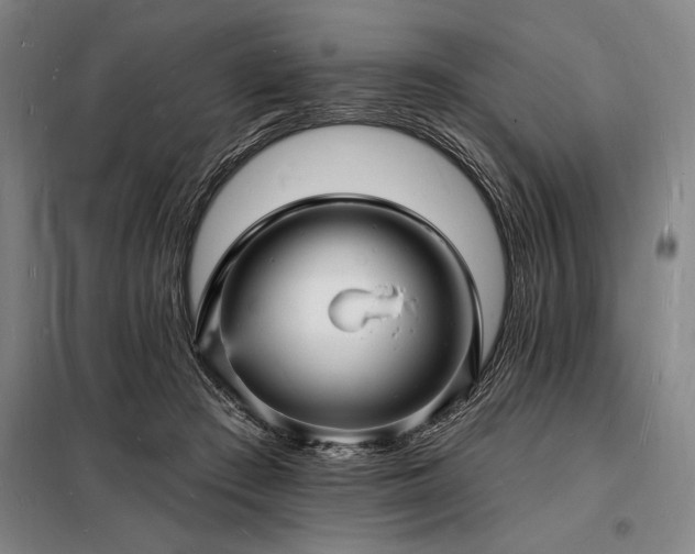 X0000098230409200805011302