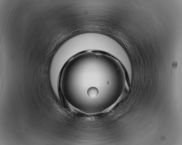 X0000098230411200805011302