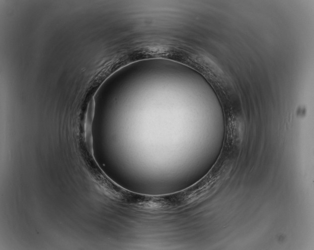 X0000098230412200805011302