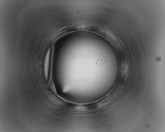 X0000098230413200805011302