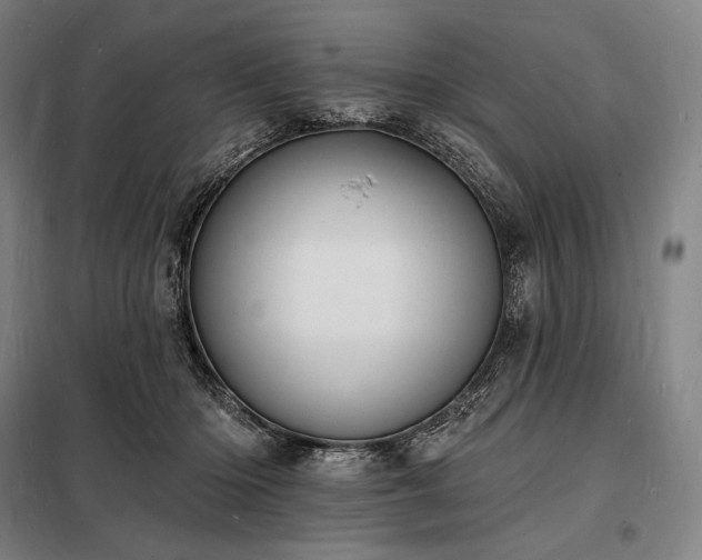 X0000098230414200805011302