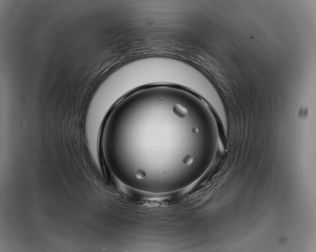 X0000098230415200805011302