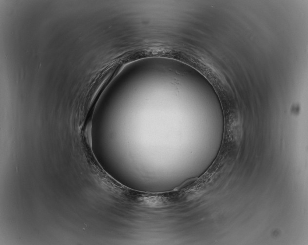 X0000098230417200805011302