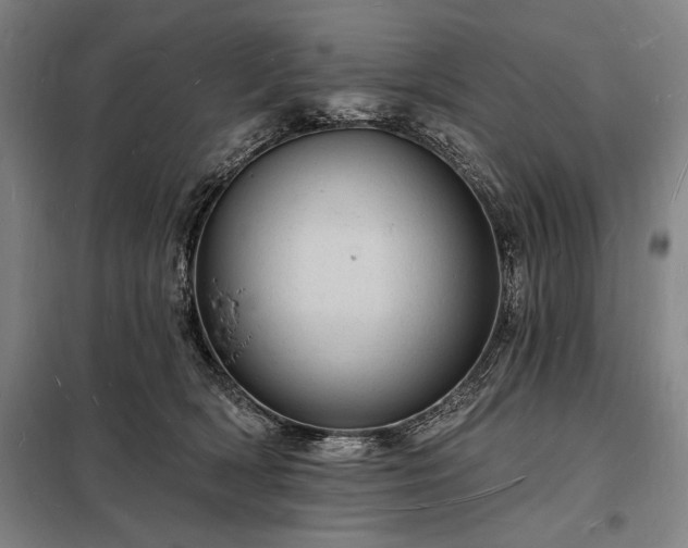 X0000098230418200805011302