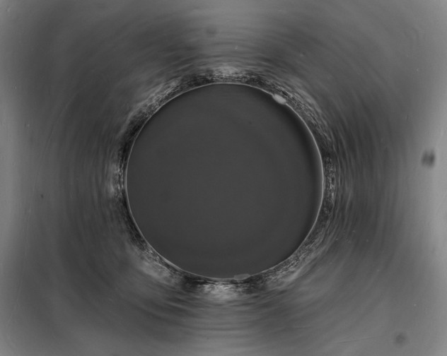 X0000098230419200805011302