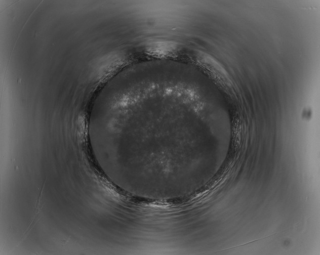 X0000098230420200805011302