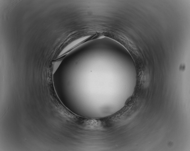 X0000098230421200805011302