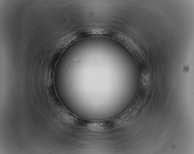 X0000098230422200805011302