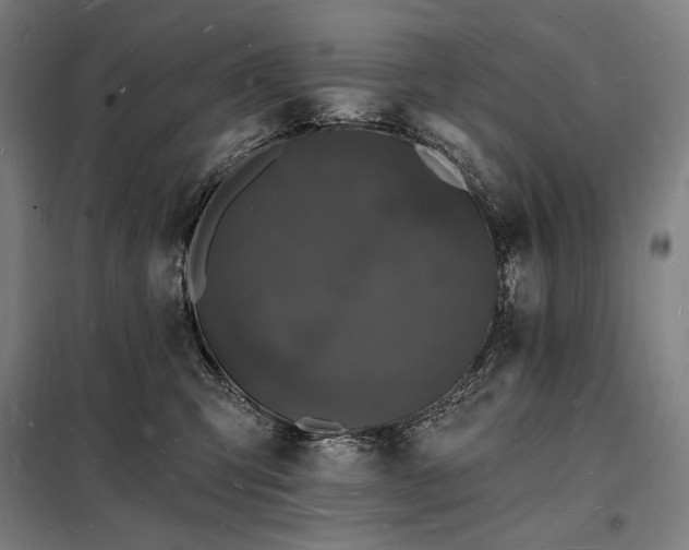 X0000098230423200805011302