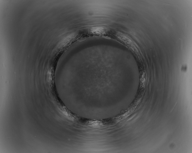 X0000098230424200805011302
