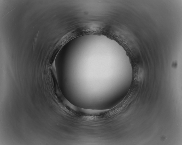 X0000098230425200805011302