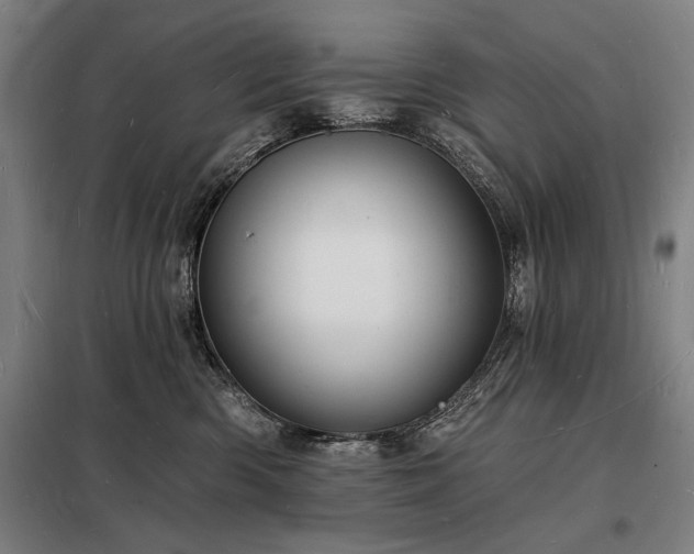 X0000098230426200805011302