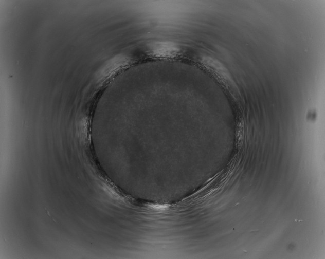 X0000098230428200805011302
