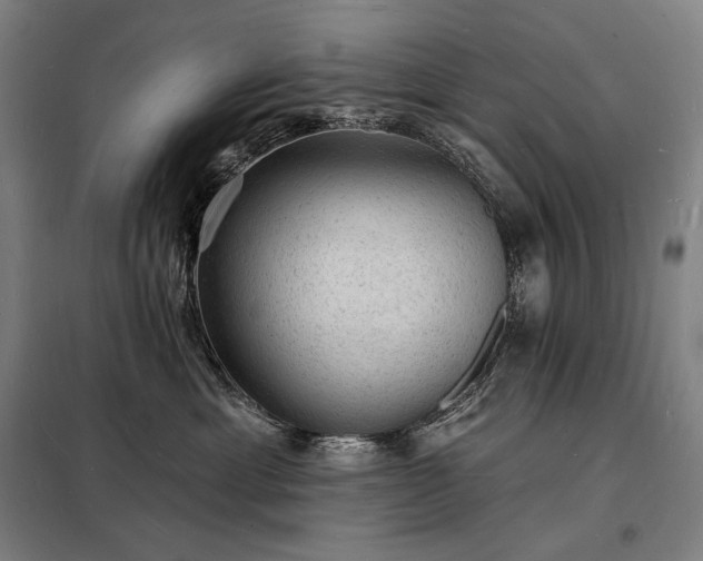 X0000098230429200805011302