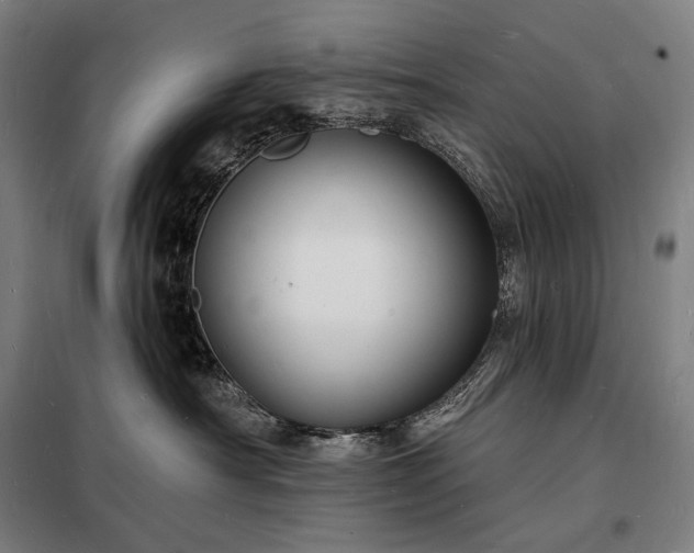 X0000098230430200805011302