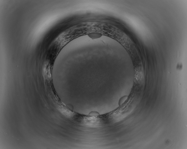 X0000098230431200805011302