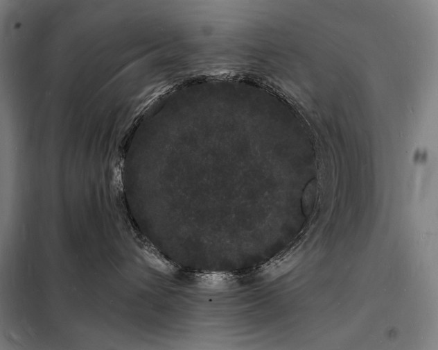 X0000098230432200805011302