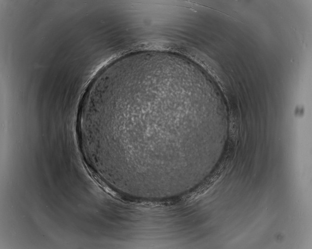 X0000098230434200805011301