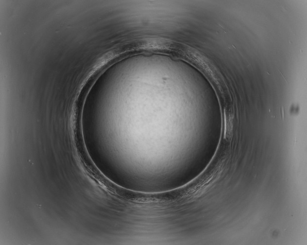 X0000098230435200805011301
