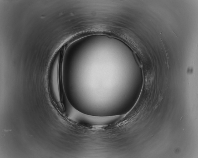 X0000098230436200805011301