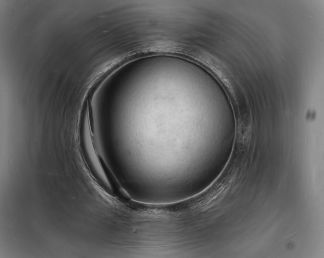 X0000098230437200805011301