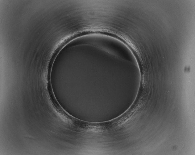 X0000098230438200805011301