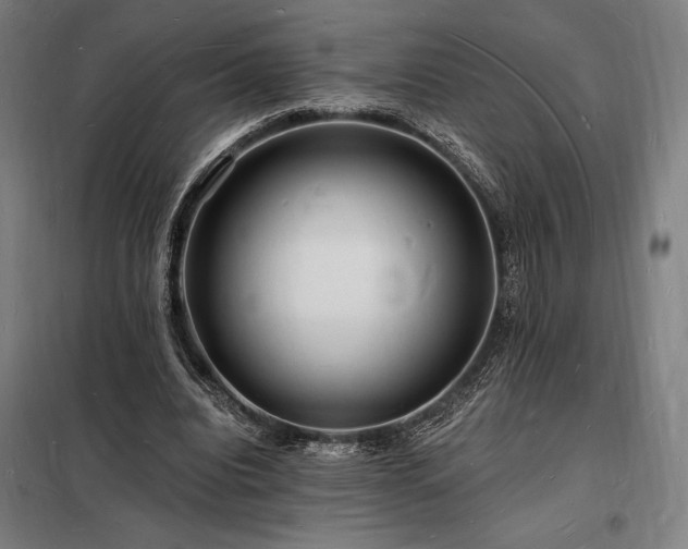 X0000098230440200805011301