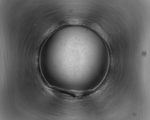 X0000098230441200805011301