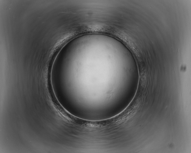 X0000098230442200805011301