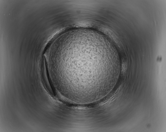 X0000098230444200805011301