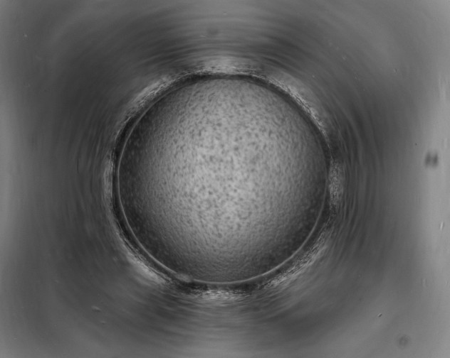 X0000098230445200805011301