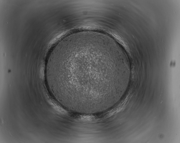 X0000098230446200805011301