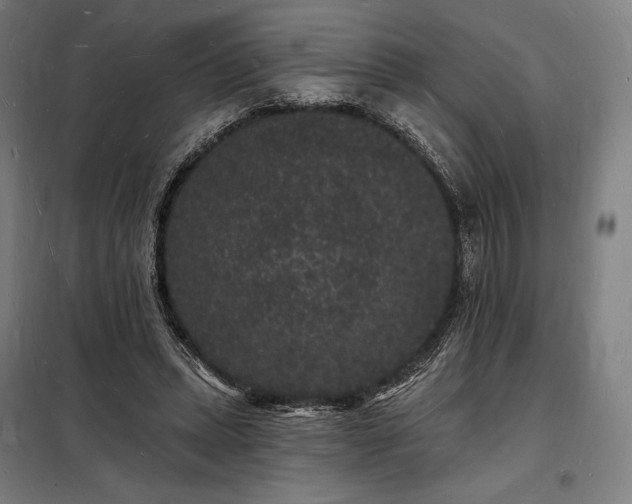 X0000098230447200805011301