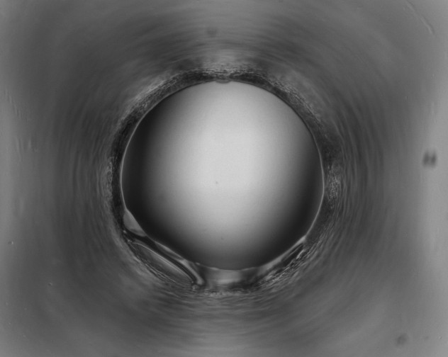 X0000098230448200805011301