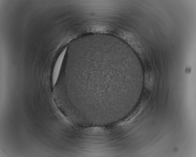 X0000098230449200805011301