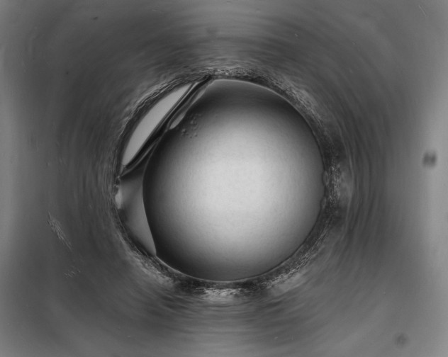 X0000098230450200805011301