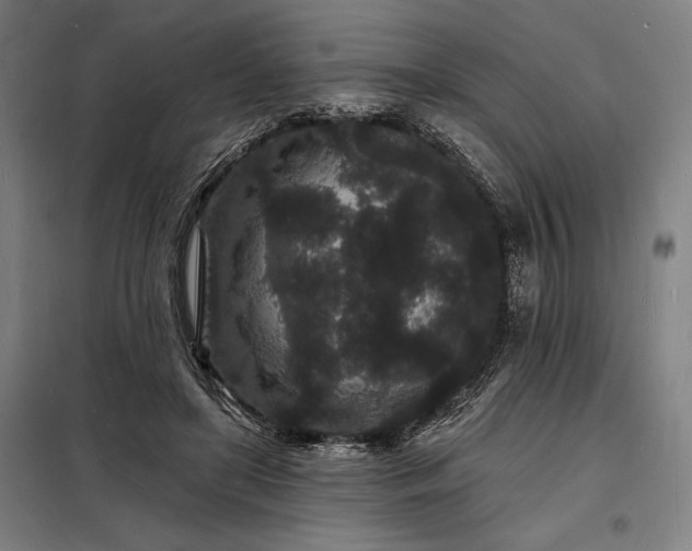 X0000098230451200805011301