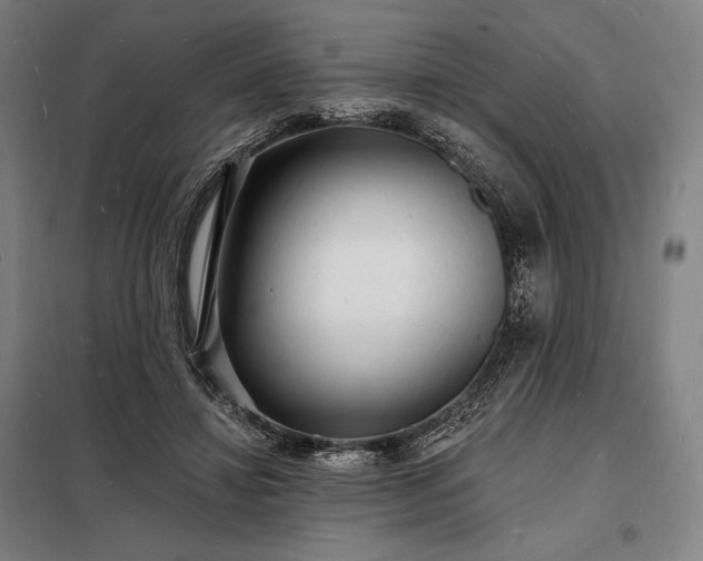X0000098230452200805011302