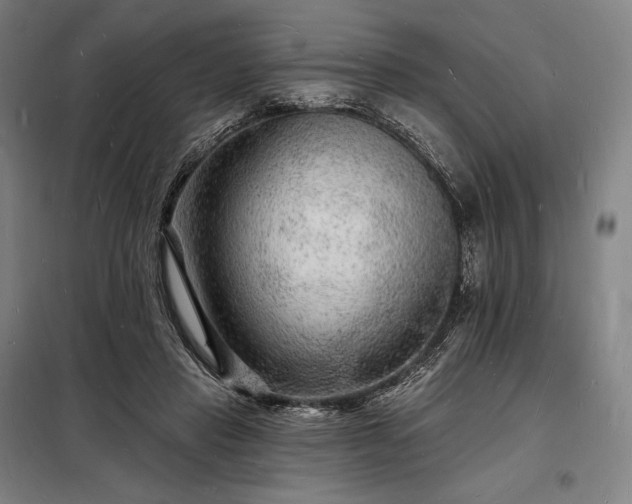 X0000098230453200805011302