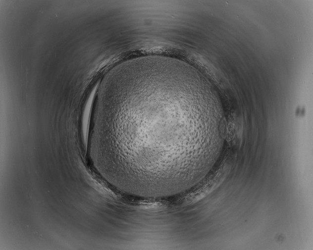 X0000098230454200805011302