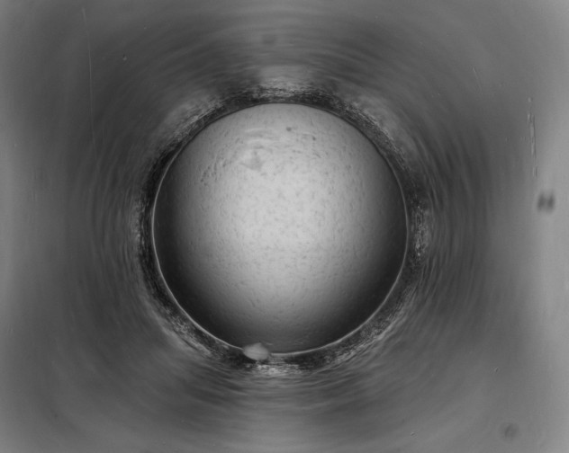 X0000098230455200805011302