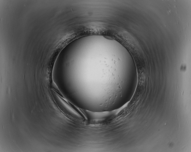 X0000098230456200805011302