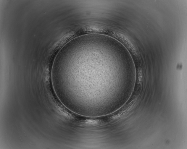 X0000098230457200805011302