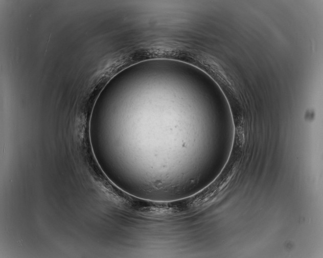 X0000098230458200805011302